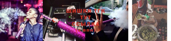 шишки Абаза