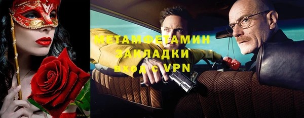 шишки Абаза