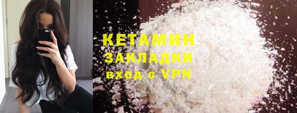шишки Абаза
