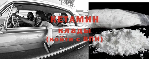 шишки Абаза