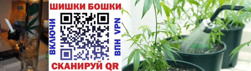 Канабис сатива  мориарти какой сайт  Адыгейск  OMG tor 